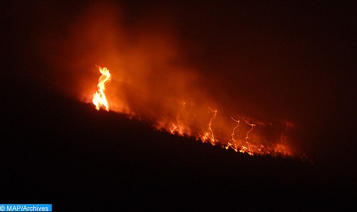 حريق بغابة بوسكورة قرب الحسيمة يأتي على حوالي 8 هكتارات من لغطاء النباتي