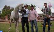 البطولة الوطنية لجمال الخيول العربية الأصيلة: ثماني ميداليات من بينها ثلاث ذهبيات لخيول الحريسة الملكية لبوزنيقة