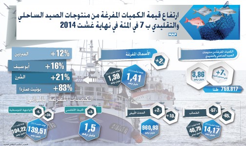 ارتفاع قيمة الكميات المفرغة من منتوجات الصيد الساحلي والتقليدي ب 7 في المئة في نهاية غشت 2014 (المكتب الوطني للصيد)