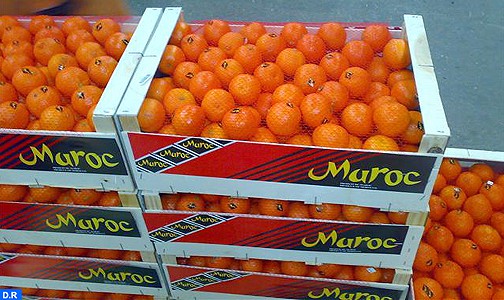 رفع تعليق صادرات الحوامض المغربية نحو الولايات المتحدة (المكتب الوطني للسلامة الصحية للمنتجات الغذائية)