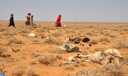 وفاة 110 شخصا بالصومال خلال 48 ساعة جراء المجاعة والإسهال