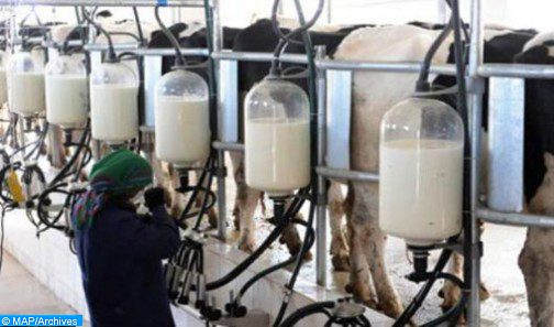 استخدام مسحوق الحليب في صناعة الحليب المبستر والحليب المعقم محظور منذ سنة 2000 (وزارة)