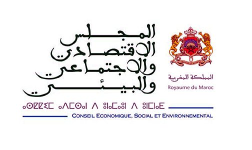 المجلس الاقتصادي والاجتماعي والبيئي يقترح مبادرة وطنية جديدة مندمجة للشباب المغربي
