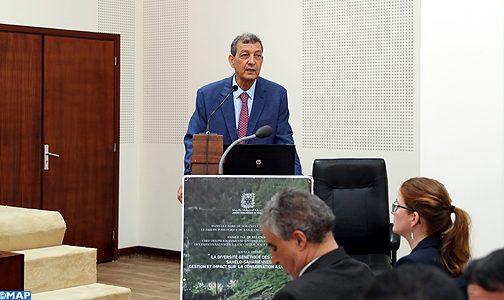 المغرب يأمل في إدماج التدبير الوراثي في سياسته المتعلقة بحماية الغزلان ( السيد الحافي)