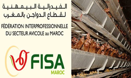 الترويج لقطاع الدواجن بالمغرب محور مهمة للفيدرالية البيمهنية لقطاع تربية الدواجن بالبنين