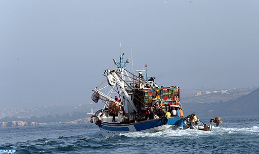 لجنة الصيد البحري بالبرلمان الأوروبي تصادق بأغلبية واسعة على اتفاق الصيد البحري بين المغرب والاتحاد الأوروبي