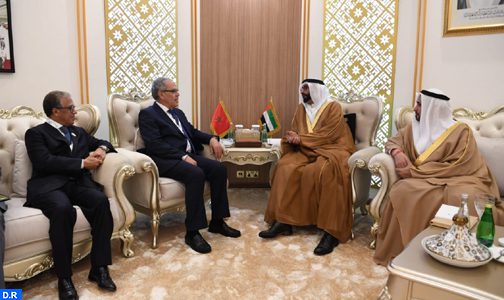 السيد لوديي يتباحث في أبوظبي مع وزير دولة لشؤون الدفاع الاماراتي