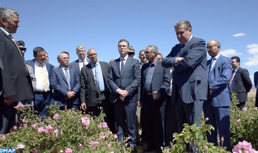 تسجيل ارتفاع ملحوظ في إنتاج الورد الطري بالمغرب