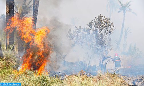 السيطرة على حريق غابوي بجماعة أوريكا بإقليم الحوز