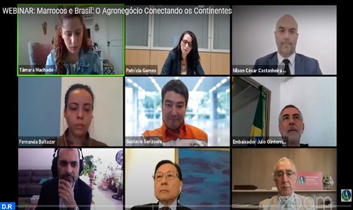 قطاع الأعمال الزراعية، ركيزة استراتيجية للشراكة المغربية البرازيلية