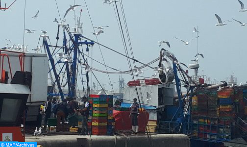 ميناء الصويرة: ارتفاع الكميات المصطادة من منتوجات الصيد الساحلي والتقليدي بنسبة 34 بالمئة