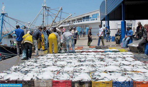 ميناء طانطان.. قيمة قياسية لمفرغات الأسماك تناهز 719 مليون درهم خلال 2021