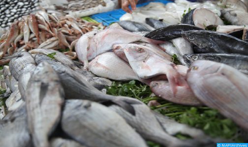 أسعار بيع الأسماك بالتقسيط على مستوى جهة العيون – الساقية الحمراء