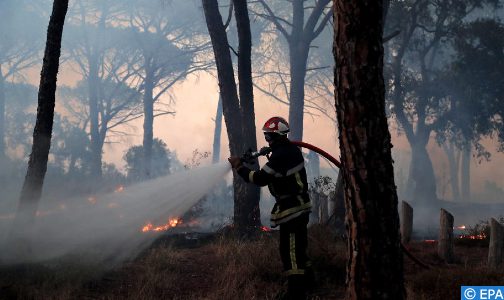 إقليم تطوان.. الجهود تتواصل لإخماد حريق غابوي أتى لحدود الساعة على 90 هكتارا من الغطاء الغابوي (سلطات محلية)