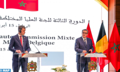 بلجيكا تشيد بالإصلاحات التي قام بها المغرب، تحت قيادة جلالة الملك، من أجل مجتمع واقتصاد مغربيين أكثر ديناميكية (إعلان مشترك)