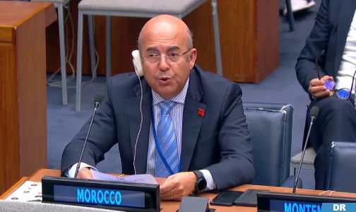 نيويورك.. انتخاب المغرب نائبا لرئيس منتدى الأمم المتحدة المعني بالغابات