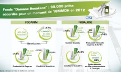 Fonds Damane Assakane : 98.000 prêts accordés pour un montant de 16 MMDH en 2012