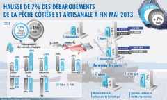 Hausse de 7 pc des débarquements de la pêche côtière et artisanale à fin mai 2013 (ONP)