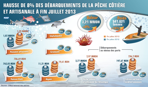 Hausse de 8 % des débarquements de la pêche côtière et artisanale à fin juillet 2013 (ONP)