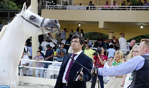 La participation d’arbitres marocains au Festival International des chevaux, une concrétisation de la coopération maroco-égyptienne dans la filière équine