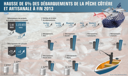 Hausse de 6 % des débarquements de la pêche côtière et artisanale à fin 2013 (ONP)
