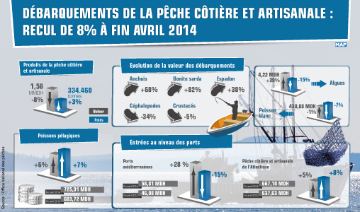 Recul de 8 pc des débarquements de la pêche côtière et artisanale à fin avril 2014 (ONP)