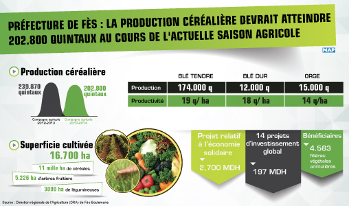 Préfecture de Fès : la production céréalière devrait atteindre 202.800 quintaux au cours de l’actuelle saison agricole (DRA)