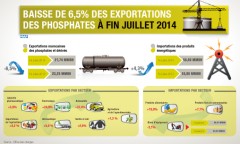 Baisse de 6,5 pc des exportations des phosphates à fin juillet 2014 (Office des Changes)
