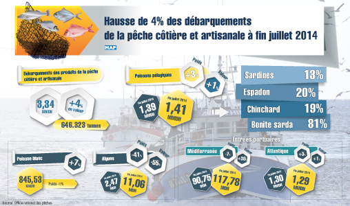 Hausse de 4 pc des débarquements de la pêche côtière et artisanale à fin juillet 2014 (ONP)