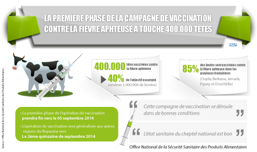 La première phase de la campagne de vaccination contre la fièvre aphteuse a touché 400.000 têtes soit 40 pc de l’objectif escompté (ONSSA)