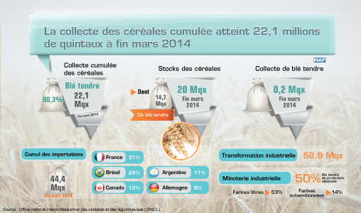 La collecte cumulée des céréales atteint 22,1 millions de quintaux à fin mars 2014 (ONICL)