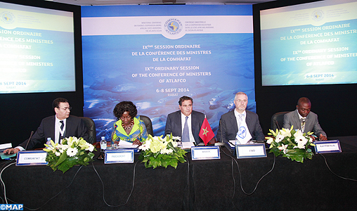 La COMHAFAT devrait proposer des programmes de coopération privilégiant l’exploitation durable des ressources halieutiques en Afrique (Akhannouch)
