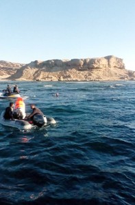 Le nageur marocain Hassan Baraka: la traversée du Golfe d’Aqaba a été des plus difficiles
