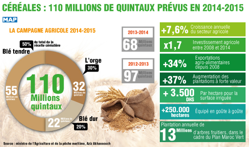 Campagne agricole 2014-2015 : la production céréalière devrait atteindre le chiffre record de 110 millions quintaux (M. Akhannouch)