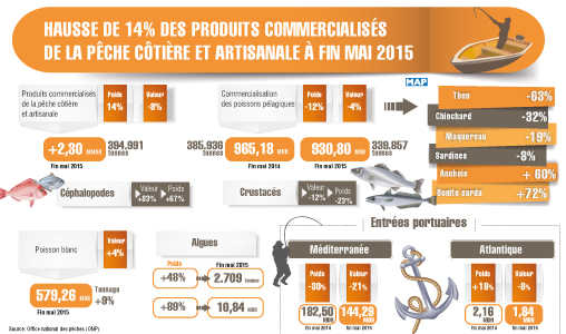 Hausse de 14 pc des produits commercialisés de la pêche côtière et artisanale à fin mai 2015 (ONP)