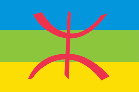 Appel à corriger “les dysfonctionnements” que comporte le projet de loi organique relatif à l’officialisation de l’amazigh