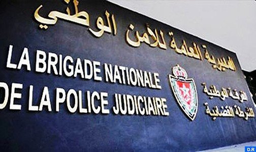 Nador: Arrestation de 7 migrants illégaux subsahariens soupçonnés de mettre le feu délibérément et porter préjudice à des biens publics