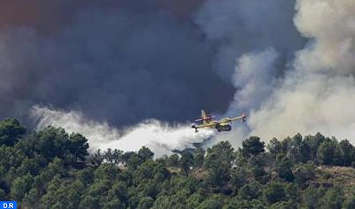 Espagne : 1.400 Ha de forêt ravagés par le feu