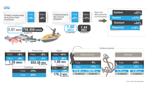 Hausse de 6% des débarquements de la pêche côtière et artisanale à fin juillet 2016 (ONP)