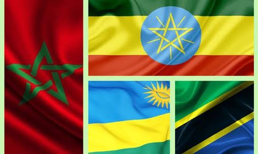 La tournée africaine de SM le Roi prouve que le Maroc “a un modèle à offrir à ses alliés africains” (portail d’information)