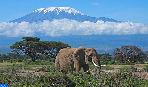 Le mont Kilimandjaro, ou quand l’arabe se mélange au kiswahili