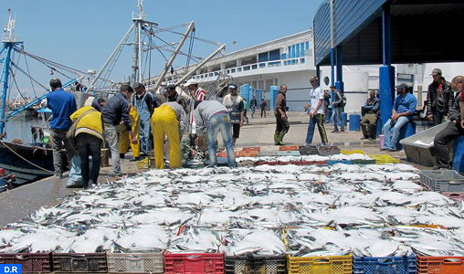 Hausse de 5% des débarquements de la pêche côtière et artisanale à fin septembre 2016 (ONP)