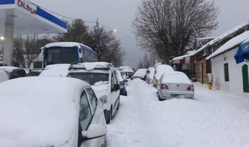 Tunisie: plusieurs personnes bloquées par les chutes de neige dans le nord-ouest