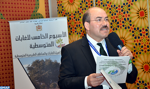 Protection des forêts: Les pays méditerranéens adoptent l”‘Engagement d’Agadir”