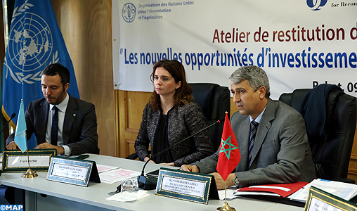 Le renfoncement des capacités des coopératives agricoles, facteur essentiel pour la promotion du secteur agroalimentaire au Maroc (FAO)
