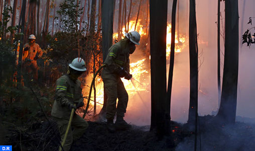 Portugal : le feu de forêt encore actif sur quatre fronts à Leiria et Coimbra