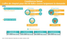 Casablanca-Settat: L’offre de cheptel pour Aid Al-Adha couvre largement la demande