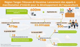 Région Tanger-Tétouan-Al Hoceima: Lancement des appels à manifestation d’intérêt pour le développement de l’aquaculture