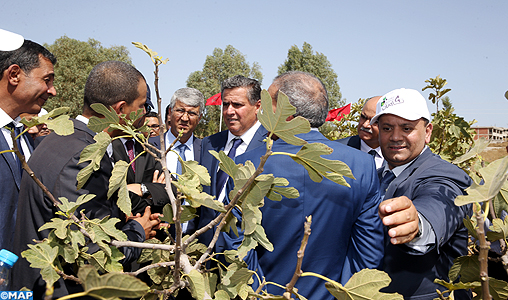 M. Akhannouch visite à Taounate plusieurs projets agricoles dans le cadre du Plan Maroc Vert