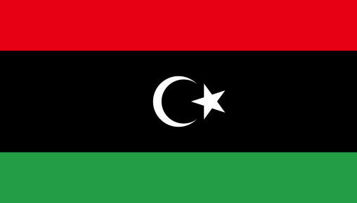 Le Haut Conseil d’Etat libyen propose le report de la présidentielle à février